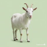 Goat Meat