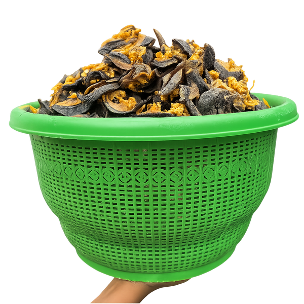 20 PIECES STANDARD SNAIL