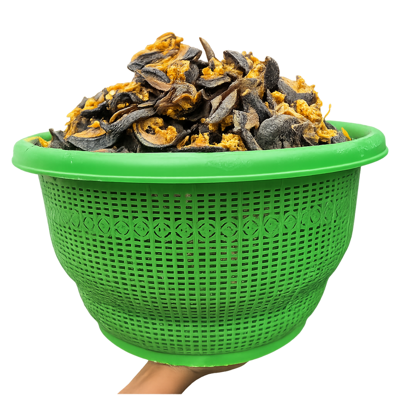 20 PIECES STANDARD SNAIL
