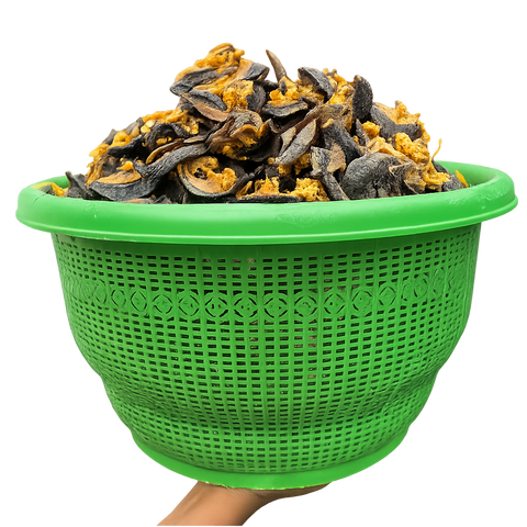 20 PIECES STANDARD SNAIL