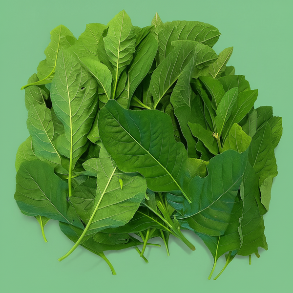 Bitterleaf