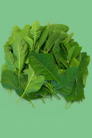 Bitterleaf