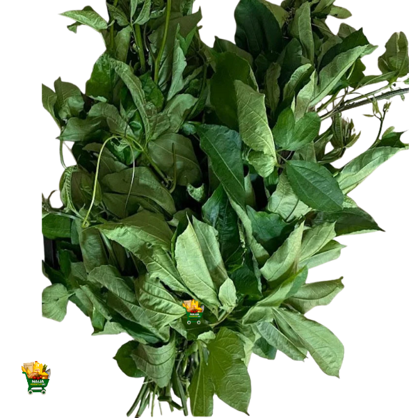 Ugu Leaf