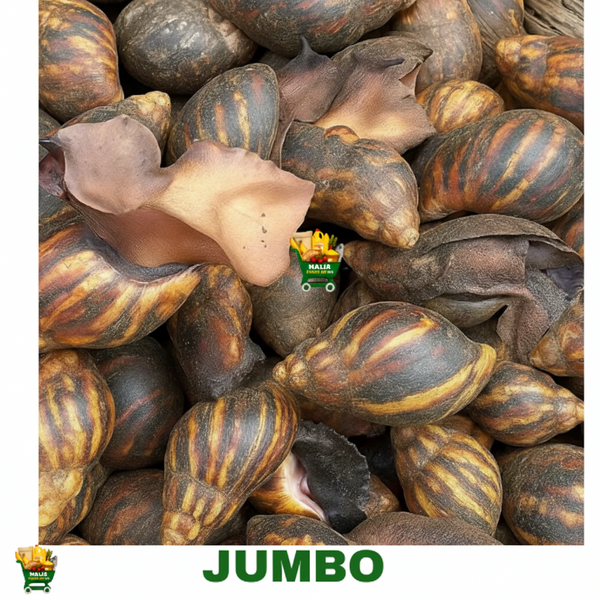 20 PIECES JUMBO SNAIL