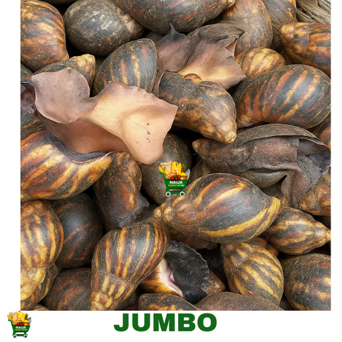 20 PIECES JUMBO SNAIL