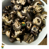 20 PIECES SMALL SNAIL