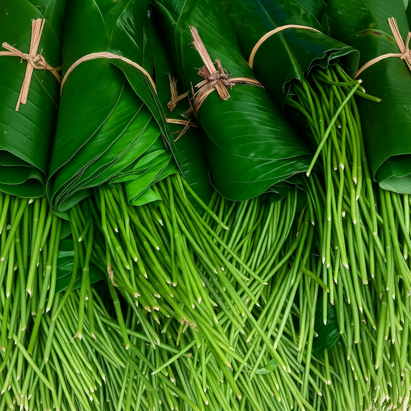 MoiMoi Leaf