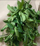 Ugu Leaf