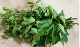 Ugu Leaf