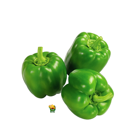 Green Bell Pepper