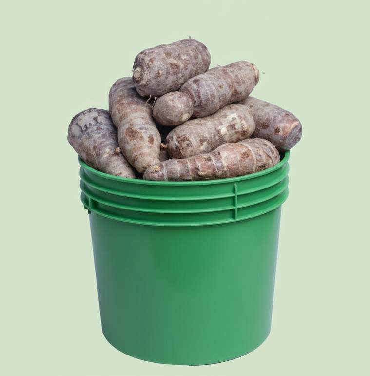 Cocoyam