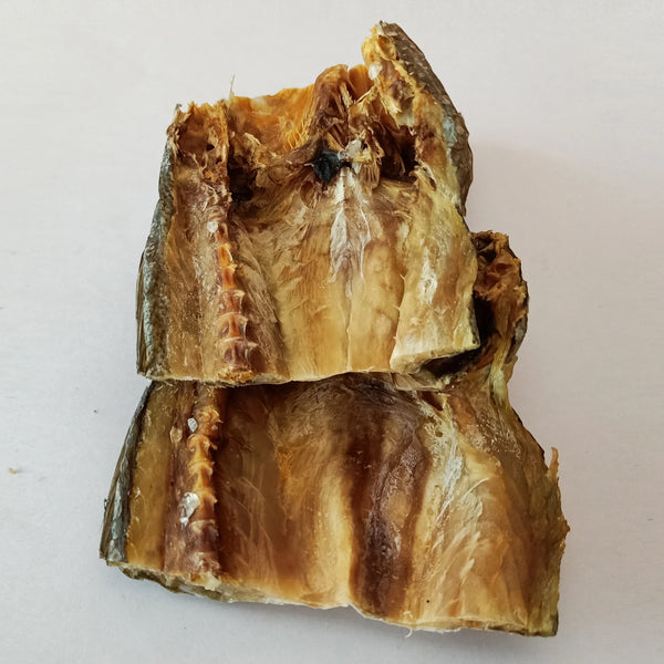Croaker Fish