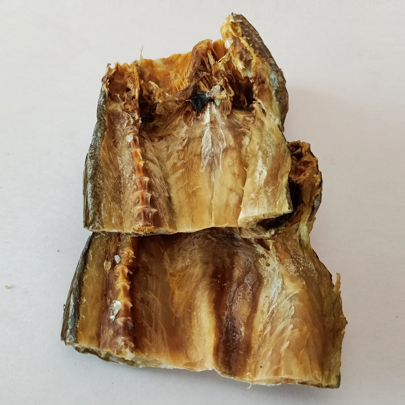 Croaker Fish