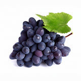 Bunch of purple grapes with a green leaf on a white background