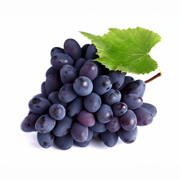 Bunch of purple grapes with a green leaf on a white background