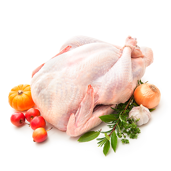 Turkey